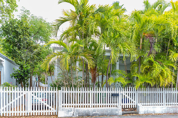 20140422_Key_West_9C7C1747