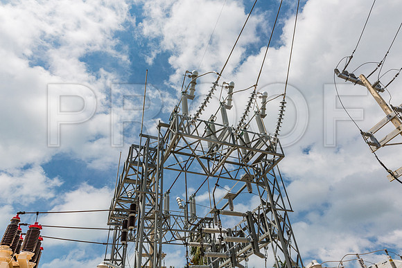 20140422_Key_West_9C7C1708