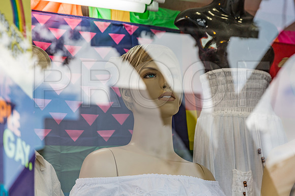 20140421_Key_West_9C7C1065