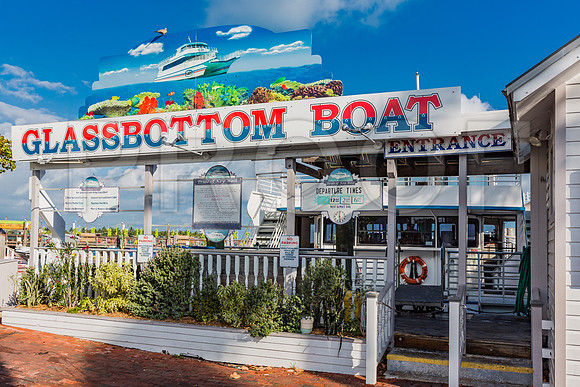 20140422_Key_West_9C7C1246