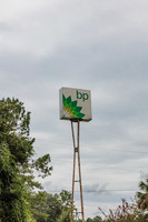 20160814_Florida_75A0011