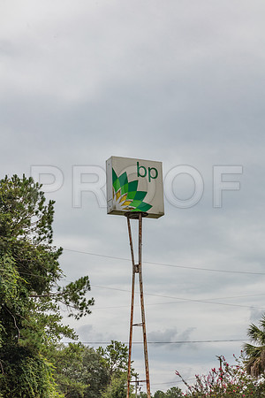 20160814_Florida_75A0011