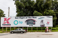 20160814_Florida075A0017