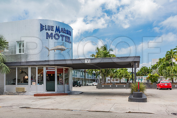 20140422_Key_West_9C7C1526