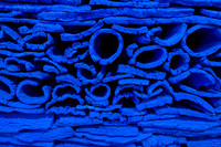 20191206_Art_basel_DSC00229