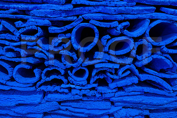 20191206_Art_basel_DSC00229