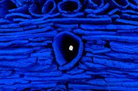 20191206_Art_basel_DSC00230