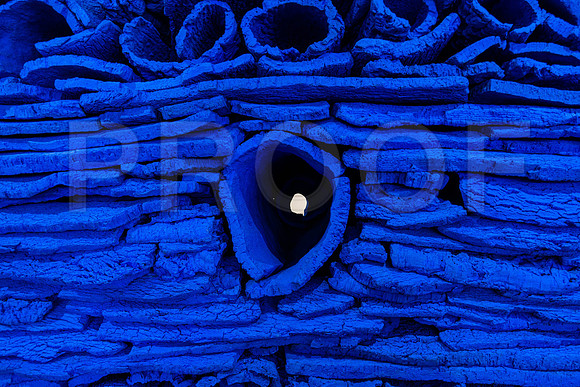 20191206_Art_basel_DSC00230