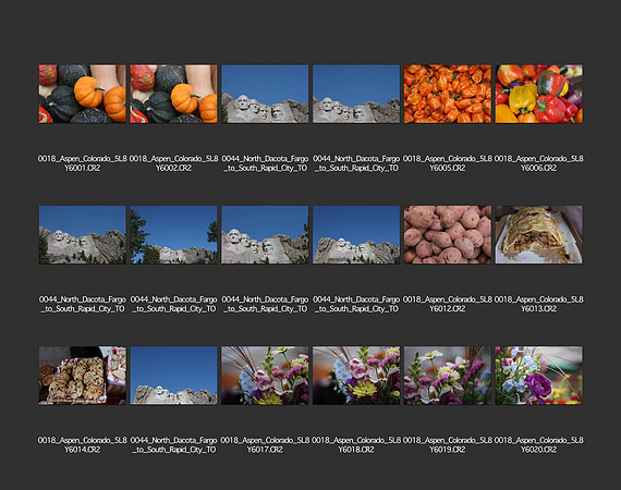 USA_2009_CONTACT_SHEETS_ 215
