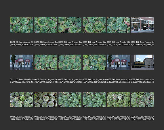 USA_2009_CONTACT_SHEETS_ 443