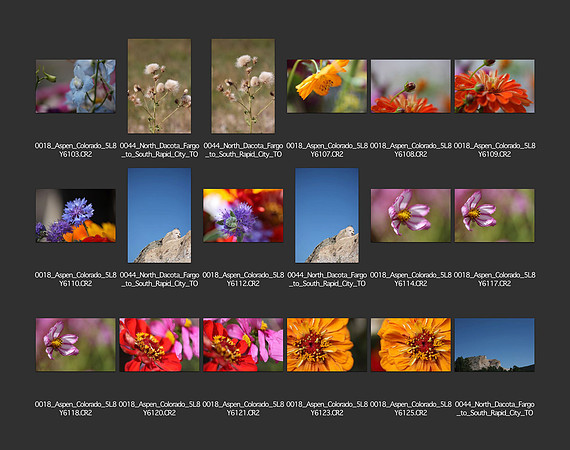 USA_2009_CONTACT_SHEETS_ 219