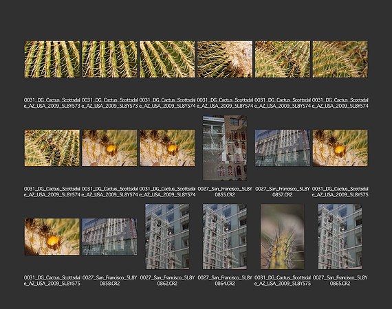 USA_2009_CONTACT_SHEETS_ 509