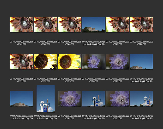 USA_2009_CONTACT_SHEETS_ 221