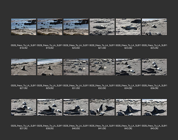 USA_2009_CONTACT_SHEETS_ 416
