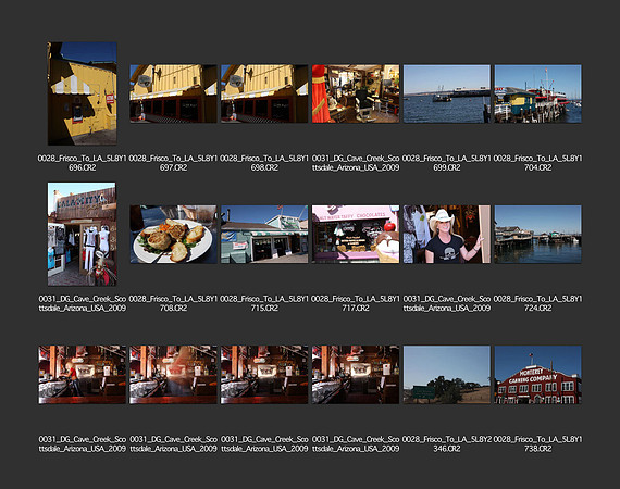 USA_2009_CONTACT_SHEETS_ 514