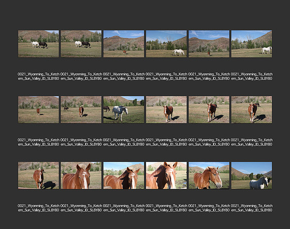 USA_2009_CONTACT_SHEETS_ 281