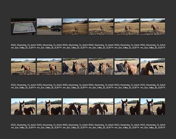 USA_2009_CONTACT_SHEETS_ 270