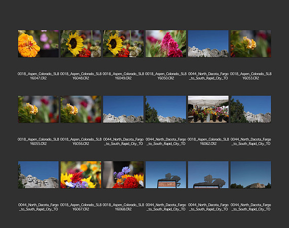 USA_2009_CONTACT_SHEETS_ 217