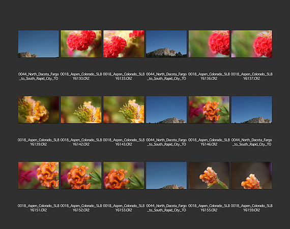 USA_2009_CONTACT_SHEETS_ 220