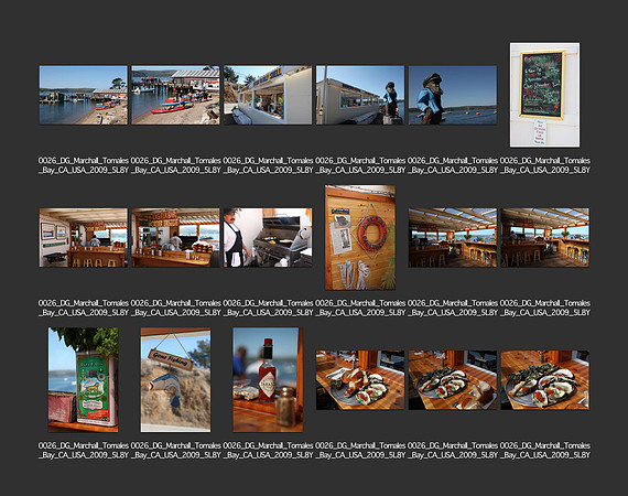 USA_2009_CONTACT_SHEETS_ 487