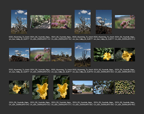 USA_2009_CONTACT_SHEETS_ 360