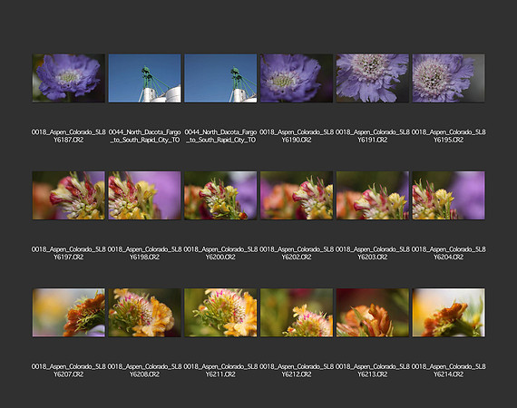 USA_2009_CONTACT_SHEETS_ 222