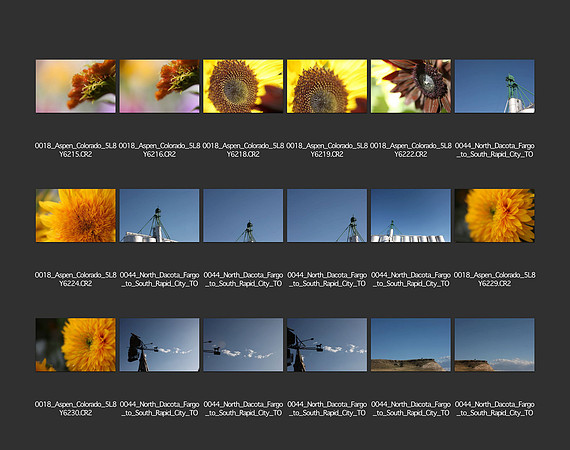 USA_2009_CONTACT_SHEETS_ 223