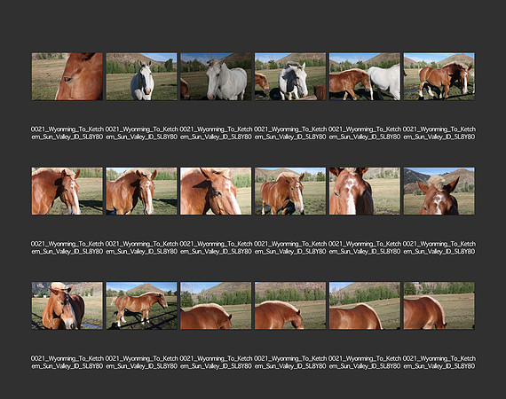 USA_2009_CONTACT_SHEETS_ 282