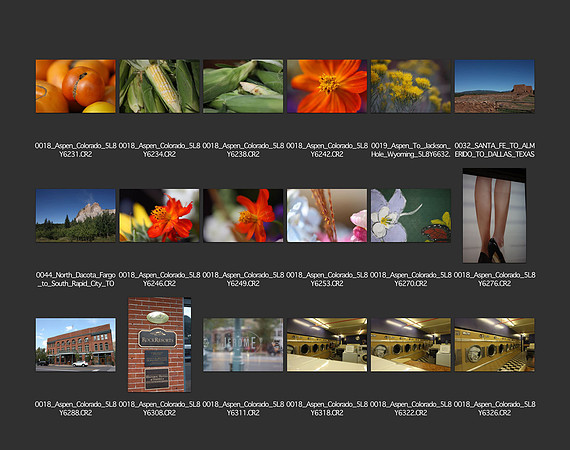 USA_2009_CONTACT_SHEETS_ 312