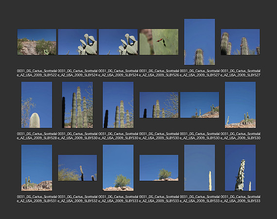 USA_2009_CONTACT_SHEETS_ 171