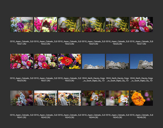 USA_2009_CONTACT_SHEETS_ 216