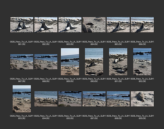 USA_2009_CONTACT_SHEETS_ 419