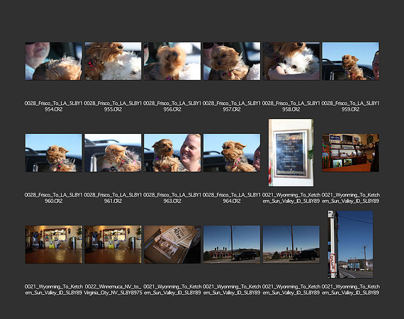 USA_2009_CONTACT_SHEETS_ 422