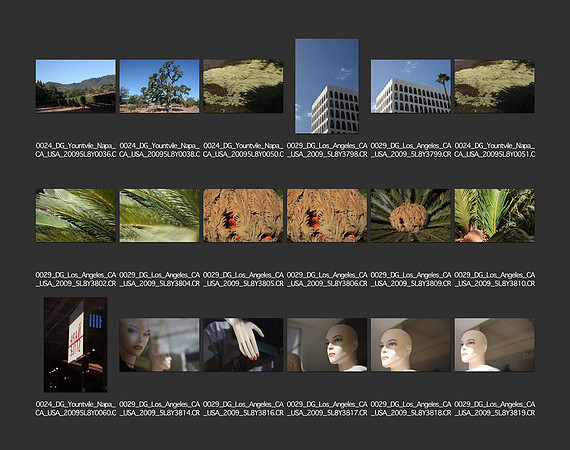 USA_2009_CONTACT_SHEETS_ 482