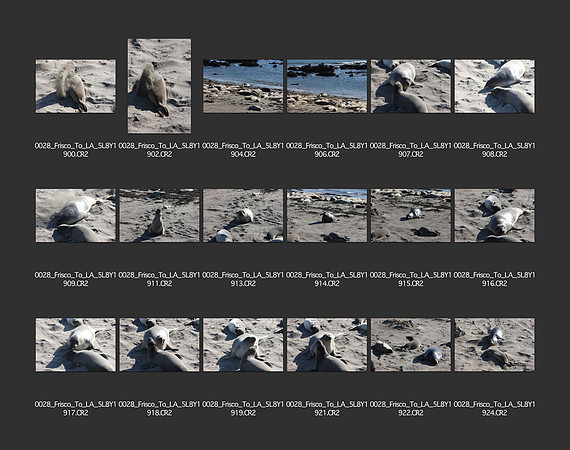 USA_2009_CONTACT_SHEETS_ 420