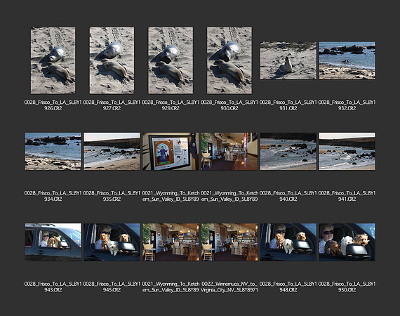 USA_2009_CONTACT_SHEETS_ 421