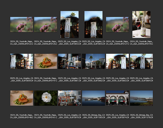 USA_2009_CONTACT_SHEETS_ 484