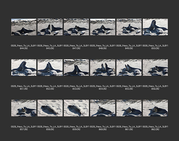 USA_2009_CONTACT_SHEETS_ 417