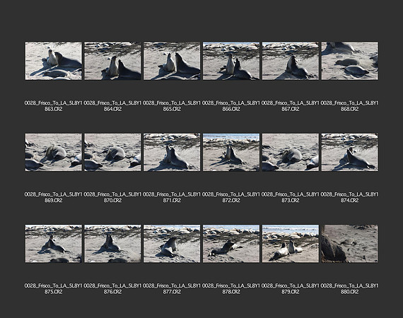 USA_2009_CONTACT_SHEETS_ 418