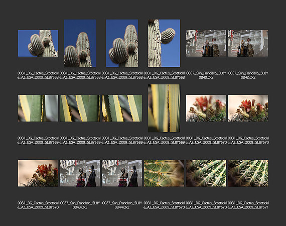 USA_2009_CONTACT_SHEETS_ 507