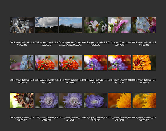 USA_2009_CONTACT_SHEETS_ 311