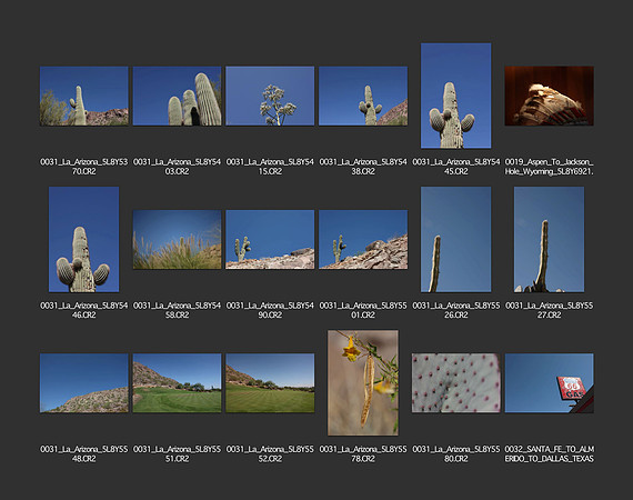 USA_2009_CONTACT_SHEETS_ 254