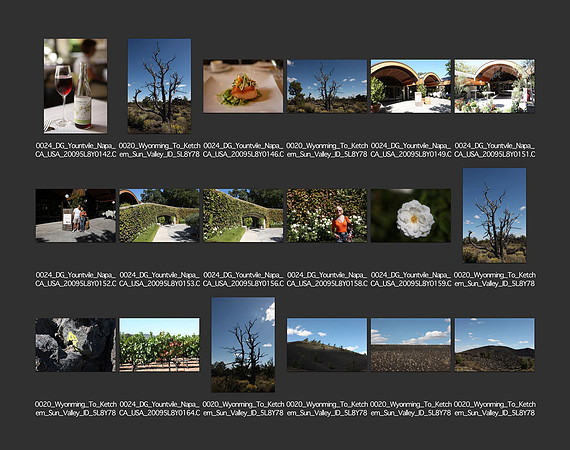 USA_2009_CONTACT_SHEETS_ 361