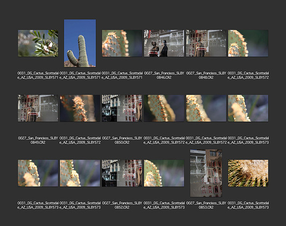 USA_2009_CONTACT_SHEETS_ 508