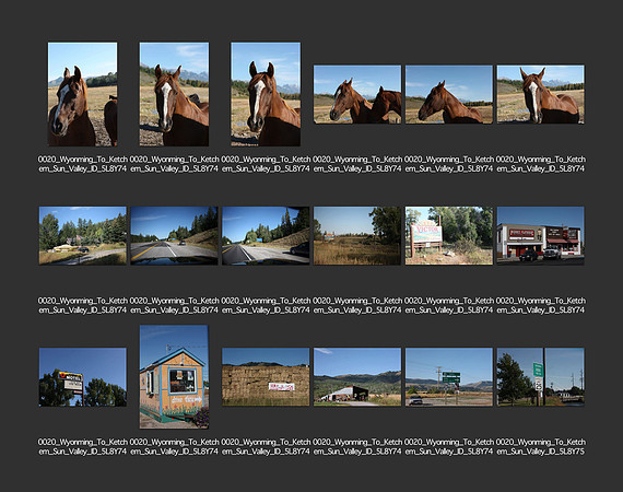 USA_2009_CONTACT_SHEETS_ 271