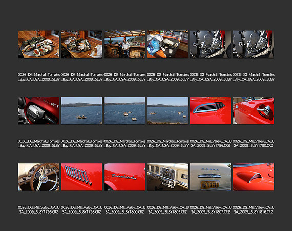 USA_2009_CONTACT_SHEETS_ 488