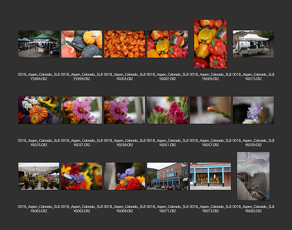 USA_2009_CONTACT_SHEETS_ 310
