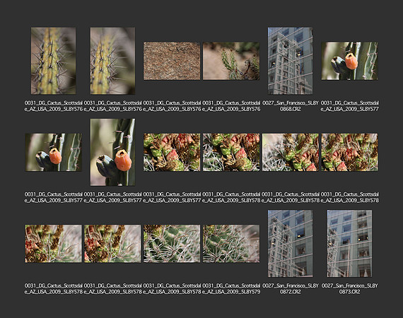 USA_2009_CONTACT_SHEETS_ 510