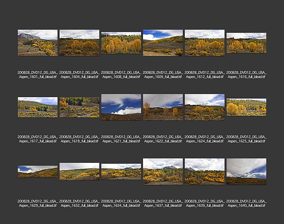 USA_2008_CONTACT_SHEETS_ 184