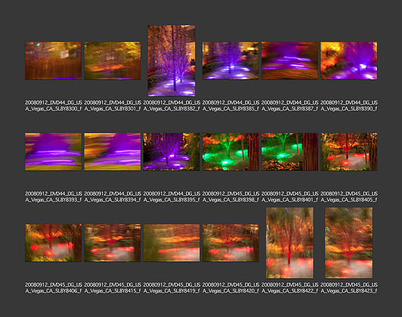 USA_2008_CONTACT_SHEETS_ 227